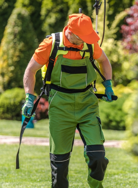 Pest Control